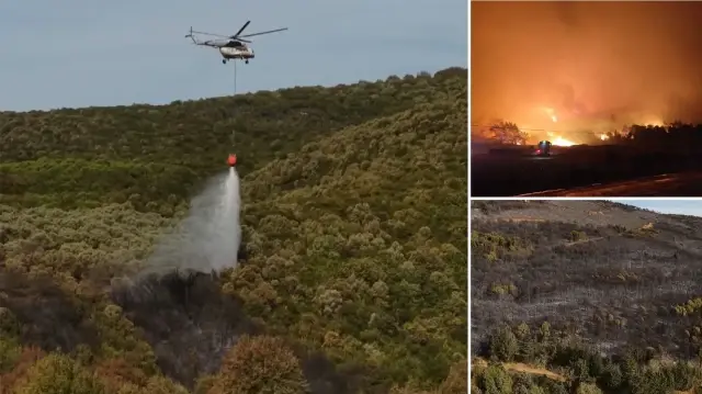 bursada orman yangini 14 saatte sonduruldu ShvcetQv