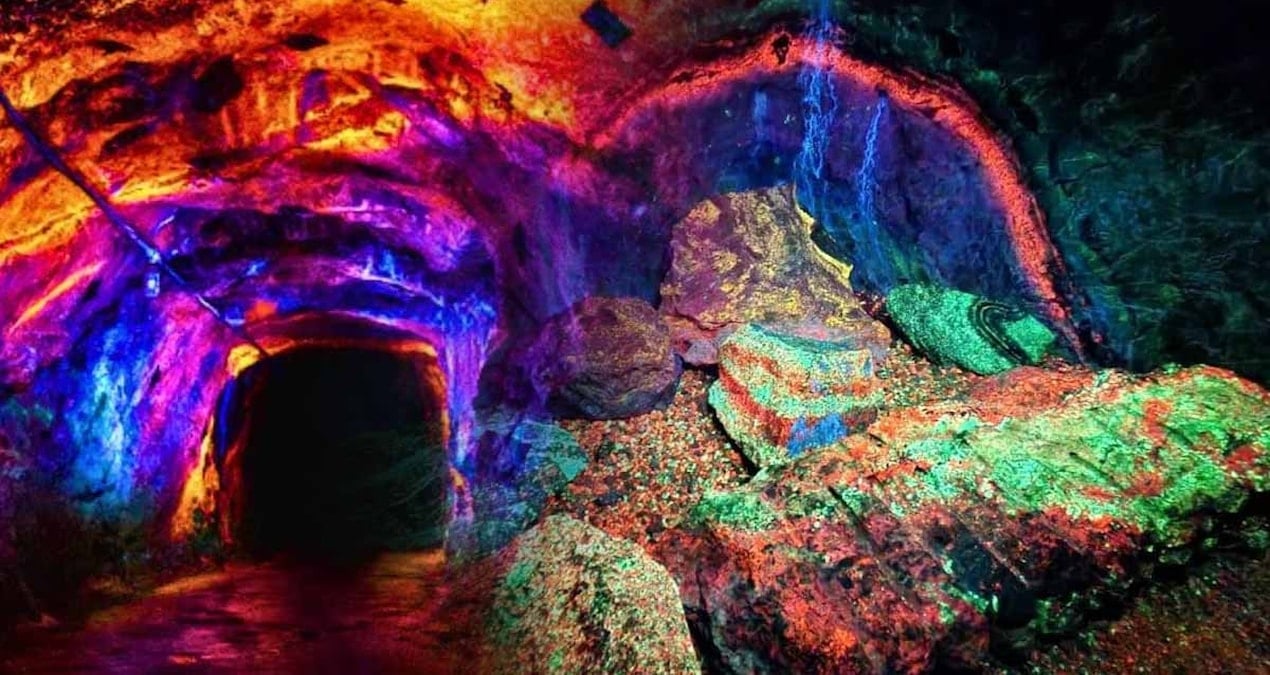 dunyanin en buyugu her yil 40 bin kisi akin ediyor neon yesilleri atesli turuncular ve derin morlari gormek icin can atiyorlar A5NLpCc3