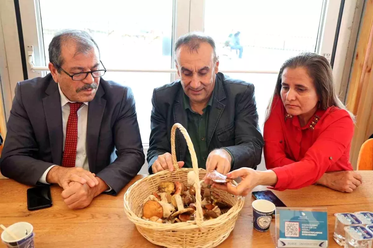 duzce universitesinde mantarlarin gizemli dunyasi etkinligi gerceklestirildi 62YkxsAm.jpg