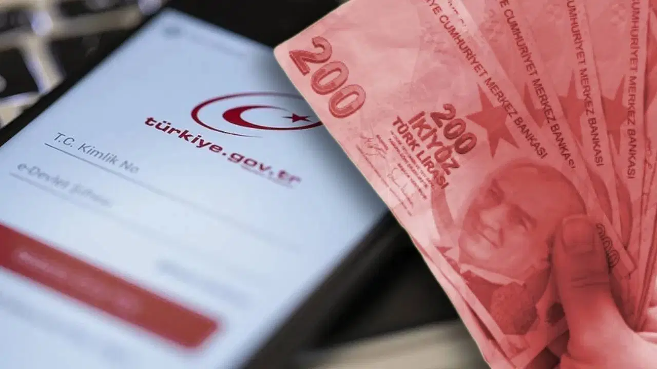 e devletini kontrol etmeyenler kaybediyor paralar devlete iade ediliyor UJYvDasL