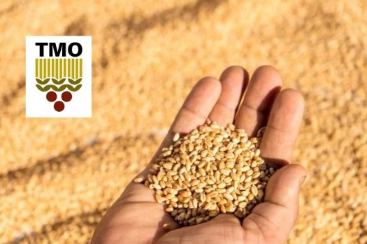 toprak mahsulleri ofisi caykur ve turksekerin 2026 yilinda alim hedefleri ve yatirim planlari aciklandi 8nga7yXO.jpg